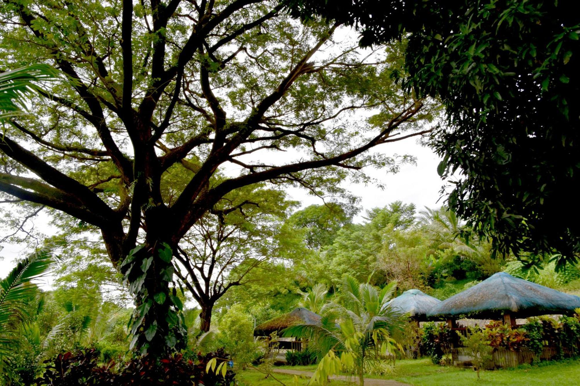 Isla De Oro Hotel Mamburao Екстер'єр фото